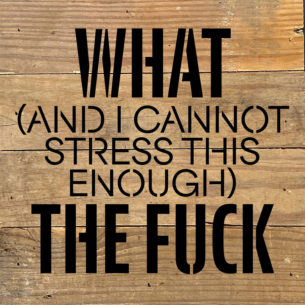 What (and I cannot stress this enough) the Fuck? / 8x8 Blue Whisper Reclaimed Wood Wall Decor