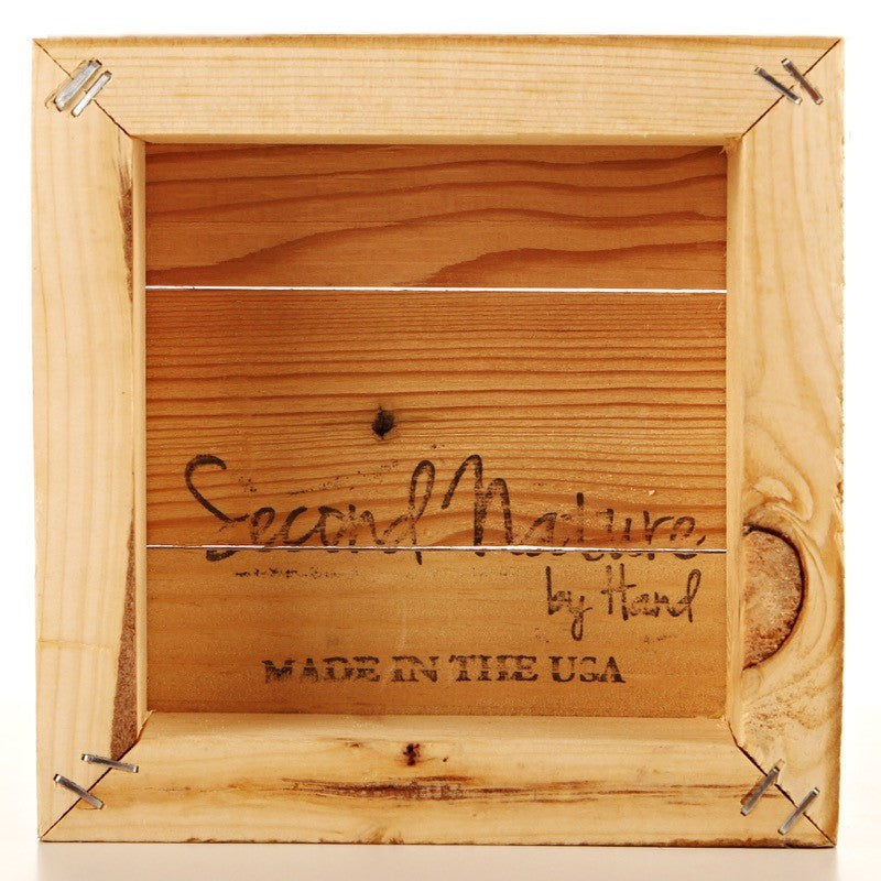 Handmade in the USA by Second Nature by Hand / 6"x6" Reclaimed Wood Sign back view